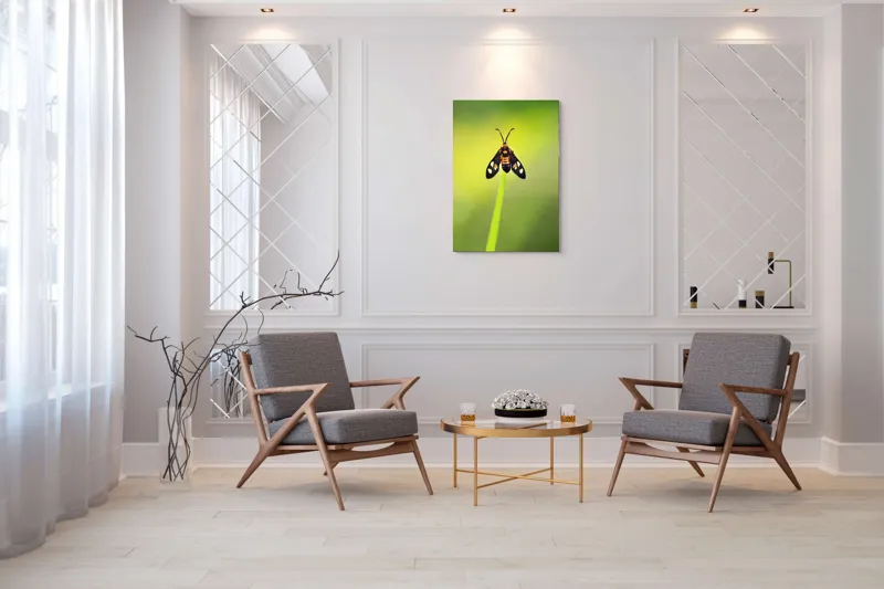Tablou Canvas, "Fluture așezat pe fir de iarbă", Molie, Culoare, Natura, Fragilitate, Verde, Delicat, Zbor, Contrast, Frumusete, Echilibru, 70 x 100 cm – poza 8