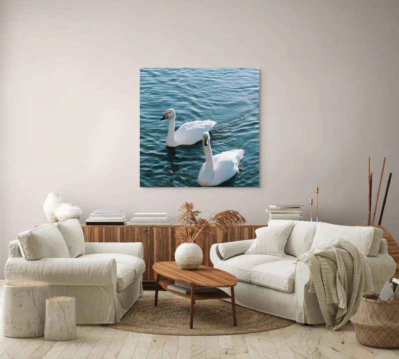 Tablou Canvas, "Două lebede pe lac albastru", Grație, Eleganță, Serenitate, Calm, Natură, Reflecție, Armonie, Albastru, Liniște, Plutire, 100 x 100 cm – poza 3