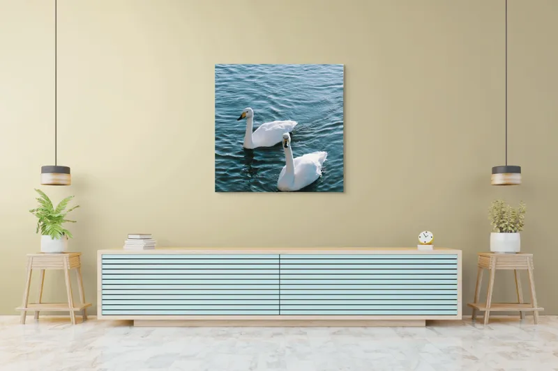 Tablou Canvas, "Două lebede pe lac albastru", Grație, Eleganță, Serenitate, Calm, Natură, Reflecție, Armonie, Albastru, Liniște, Plutire, 100 x 100 cm – poza 5