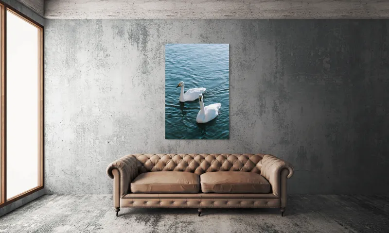 Tablou Canvas, "Două lebede pe lac albastru", Grație, Eleganță, Serenitate, Calm, Natură, Reflecție, Armonie, Albastru, Liniște, Plutire, 100 x 150 cm – poza 6