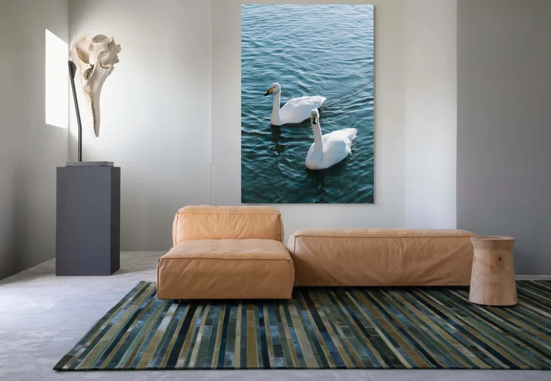 Tablou Canvas, "Două lebede pe lac albastru", Grație, Eleganță, Serenitate, Calm, Natură, Reflecție, Armonie, Albastru, Liniște, Plutire, 100 x 150 cm – poza 7