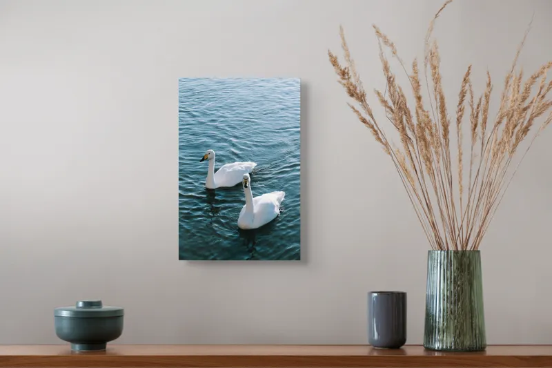 Tablou Canvas, "Două lebede pe lac albastru", Grație, Eleganță, Serenitate, Calm, Natură, Reflecție, Armonie, Albastru, Liniște, Plutire, 26 x 39 cm – poza 5