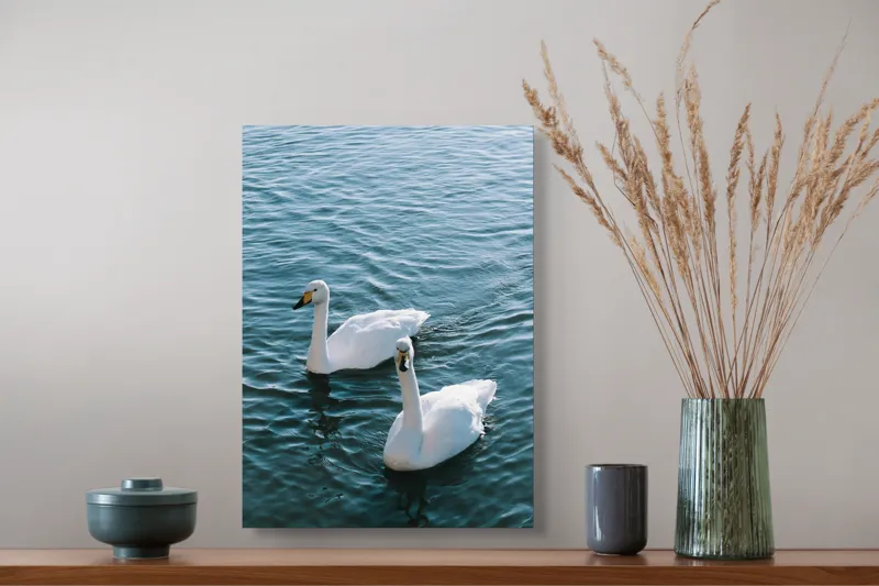 Tablou Canvas, "Două lebede pe lac albastru", Grație, Eleganță, Serenitate, Calm, Natură, Reflecție, Armonie, Albastru, Liniște, Plutire, 39 x 54 cm – poza 3