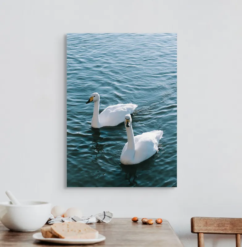 Tablou Canvas, "Două lebede pe lac albastru", Grație, Eleganță, Serenitate, Calm, Natură, Reflecție, Armonie, Albastru, Liniște, Plutire, 50 x 70 cm – poza 3