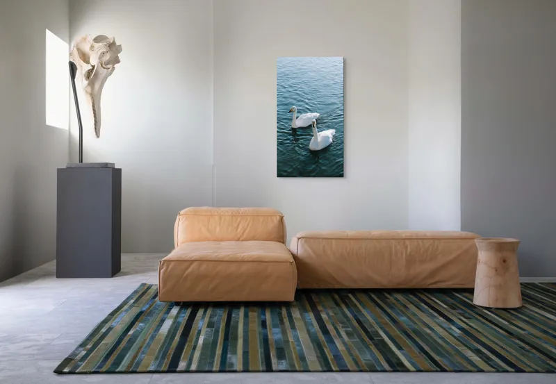 Tablou Canvas, "Două lebede pe lac albastru", Grație, Eleganță, Serenitate, Calm, Natură, Reflecție, Armonie, Albastru, Liniște, Plutire, 50 x 90 cm – poza 5