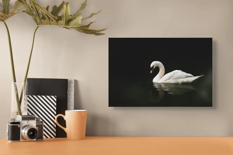 Tablou Canvas, "Lebăda solitară pe lac întunecat", Lebădă, Grație, Reflectare, Apă, Singurătate, Eleganță, Contrast, Liniște, 39 x 26 cm – poza 3