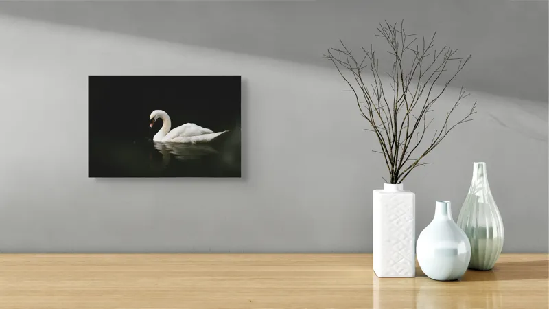 Tablou Canvas, "Lebăda solitară pe lac întunecat", Lebădă, Grație, Reflectare, Apă, Singurătate, Eleganță, Contrast, Liniște, 39 x 26 cm – poza 8