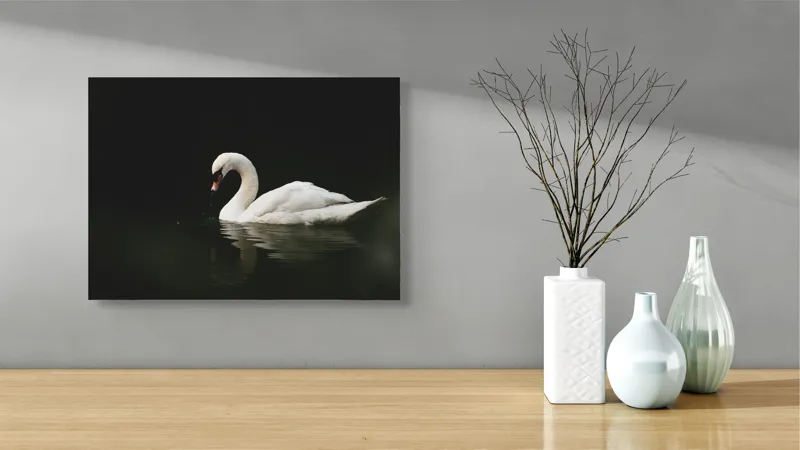 Tablou Canvas, "Lebăda solitară pe lac întunecat", Lebădă, Grație, Reflectare, Apă, Singurătate, Eleganță, Contrast, Liniște, 54 x 39 cm – poza 3