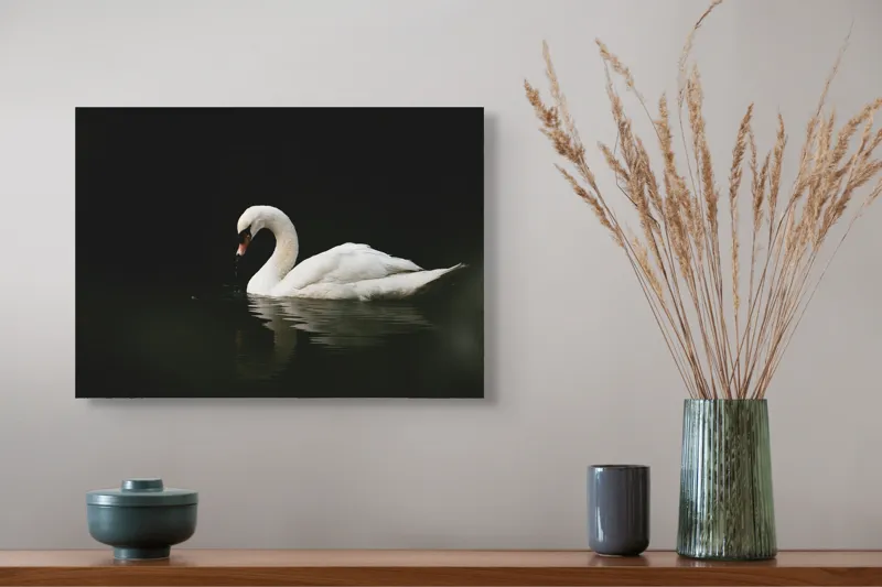 Tablou Canvas, "Lebăda solitară pe lac întunecat", Lebădă, Grație, Reflectare, Apă, Singurătate, Eleganță, Contrast, Liniște, 54 x 39 cm – poza 4