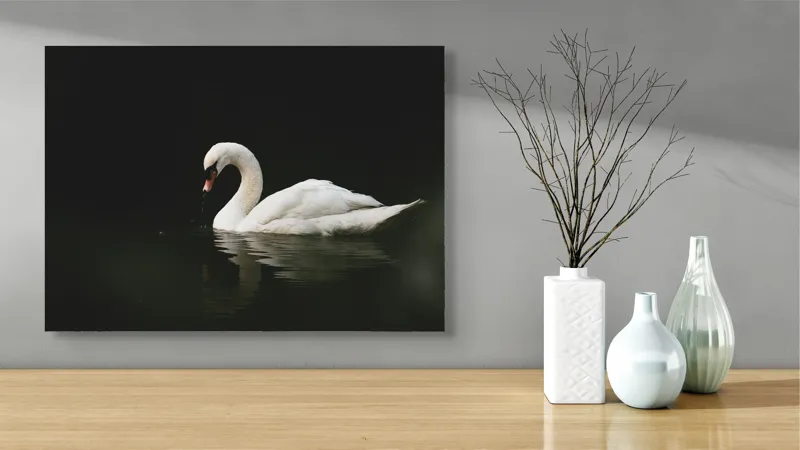 Tablou Canvas, "Lebăda solitară pe lac întunecat", Lebădă, Grație, Reflectare, Apă, Singurătate, Eleganță, Contrast, Liniște, 70 x 50 cm – poza 3