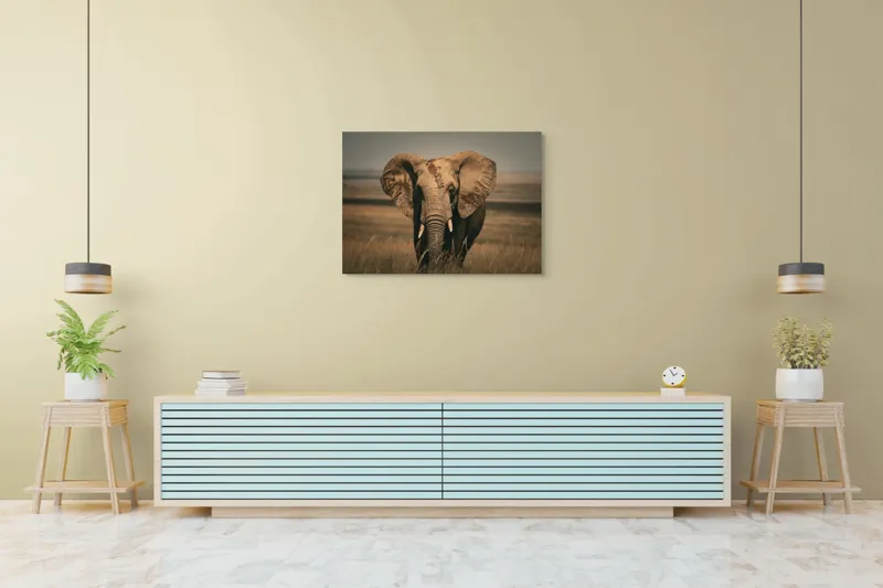Tablou Canvas, "Elefantul pe câmpiile africane", Elefant, Savana, Urechi, Trompă, Iarbă, 100 x 70 cm – poza 4