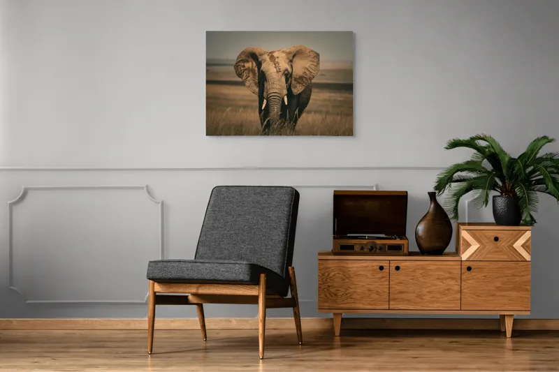 Tablou Canvas, "Elefantul pe câmpiile africane", Elefant, Savana, Urechi, Trompă, Iarbă, 100 x 70 cm – poza 8