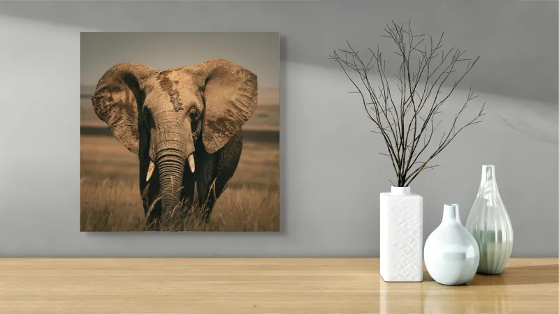 Tablou Canvas, "Elefantul pe câmpiile africane", Elefant, Savana, Urechi, Trompă, Iarbă, 50 x 50 cm – poza 3