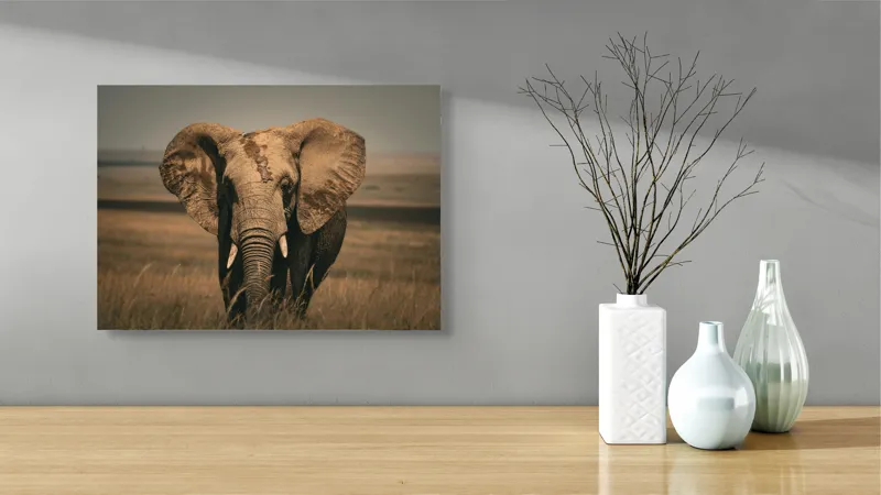 Tablou Canvas, "Elefantul pe câmpiile africane", Elefant, Savana, Urechi, Trompă, Iarbă, 54 x 39 cm – poza 3