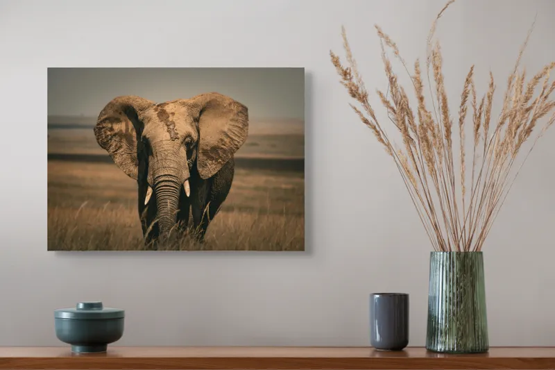 Tablou Canvas, "Elefantul pe câmpiile africane", Elefant, Savana, Urechi, Trompă, Iarbă, 54 x 39 cm – poza 4