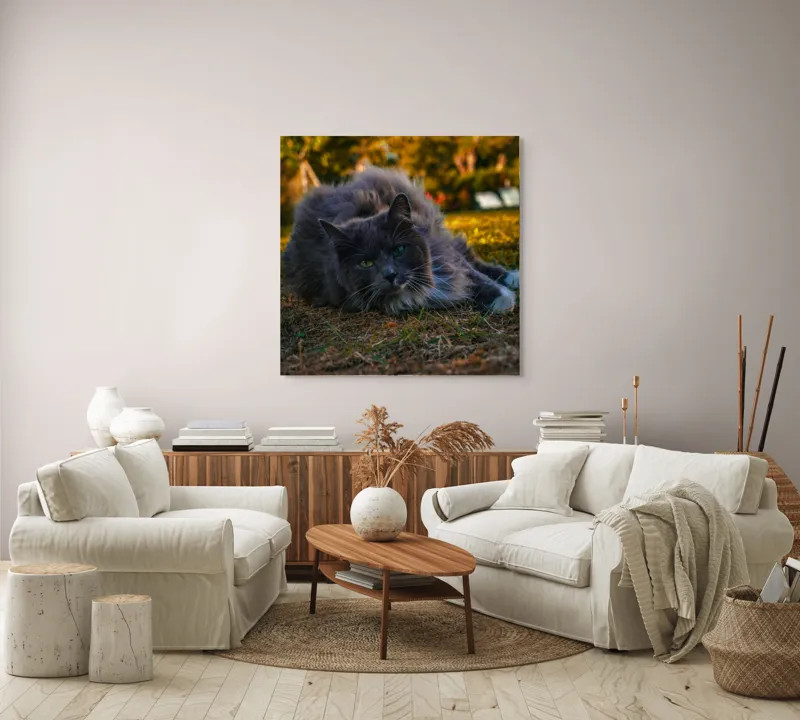 Tablou Canvas, "Pisica odihnindu-se în amurgul toamnei", Blană, Gri, Ochi, Verzi, Natură, Relaxare, Felină, Pădure, Toamnă, Lumină., 100 x 100 cm – poza 3