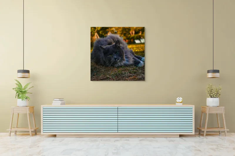 Tablou Canvas, "Pisica odihnindu-se în amurgul toamnei", Blană, Gri, Ochi, Verzi, Natură, Relaxare, Felină, Pădure, Toamnă, Lumină., 100 x 100 cm – poza 5