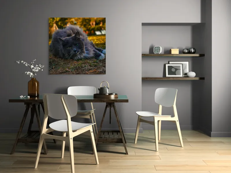 Tablou Canvas, "Pisica odihnindu-se în amurgul toamnei", Blană, Gri, Ochi, Verzi, Natură, Relaxare, Felină, Pădure, Toamnă, Lumină., 100 x 100 cm – poza 6
