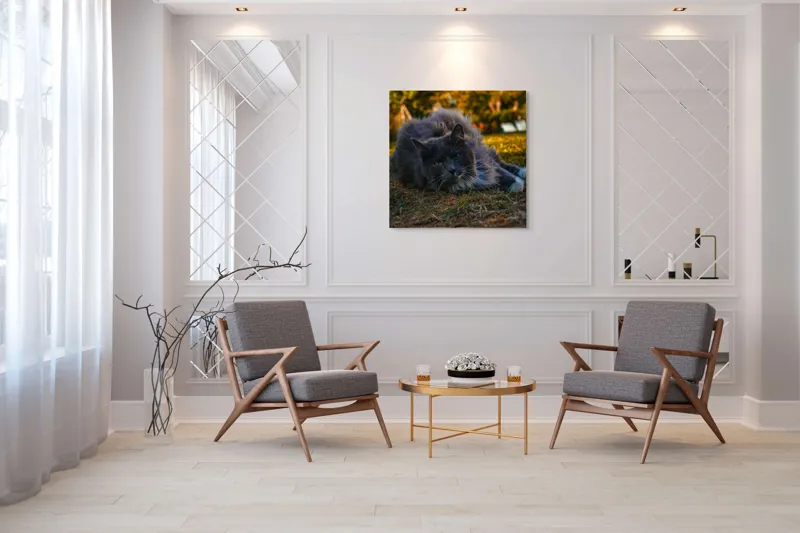 Tablou Canvas, "Pisica odihnindu-se în amurgul toamnei", Blană, Gri, Ochi, Verzi, Natură, Relaxare, Felină, Pădure, Toamnă, Lumină., 100 x 100 cm – poza 7
