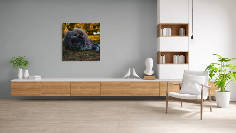 Tablou Canvas, "Pisica odihnindu-se în amurgul toamnei", Blană, Gri, Ochi, Verzi, Natură, Relaxare, Felină, Pădure, Toamnă, Lumină., 100 x 100 cm – poza 8