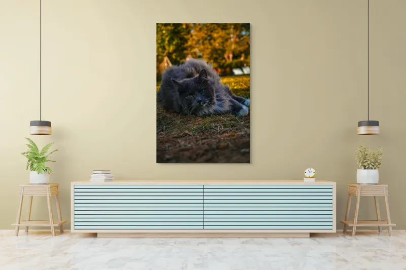 Tablou Canvas, "Pisica odihnindu-se în amurgul toamnei", Blană, Gri, Ochi, Verzi, Natură, Relaxare, Felină, Pădure, Toamnă, Lumină., 100 x 150 cm – poza 4