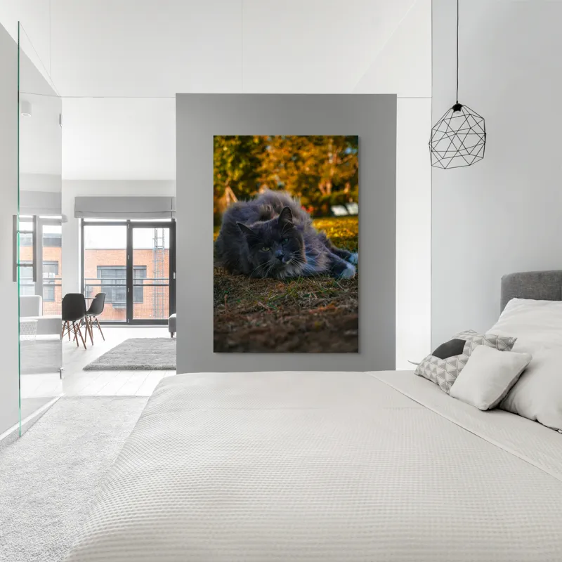 Tablou Canvas, "Pisica odihnindu-se în amurgul toamnei", Blană, Gri, Ochi, Verzi, Natură, Relaxare, Felină, Pădure, Toamnă, Lumină., 100 x 150 cm – poza 5