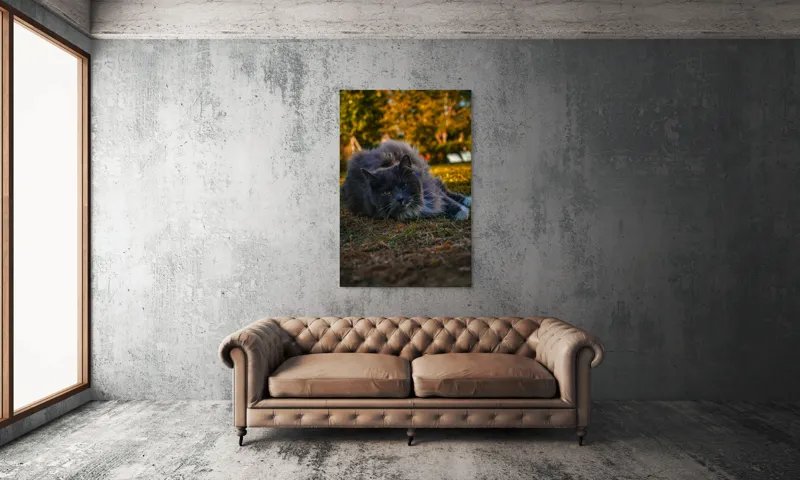 Tablou Canvas, "Pisica odihnindu-se în amurgul toamnei", Blană, Gri, Ochi, Verzi, Natură, Relaxare, Felină, Pădure, Toamnă, Lumină., 100 x 150 cm – poza 6
