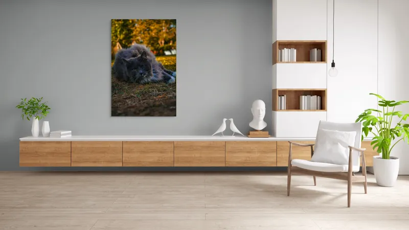 Tablou Canvas, "Pisica odihnindu-se în amurgul toamnei", Blană, Gri, Ochi, Verzi, Natură, Relaxare, Felină, Pădure, Toamnă, Lumină., 100 x 150 cm – poza 8