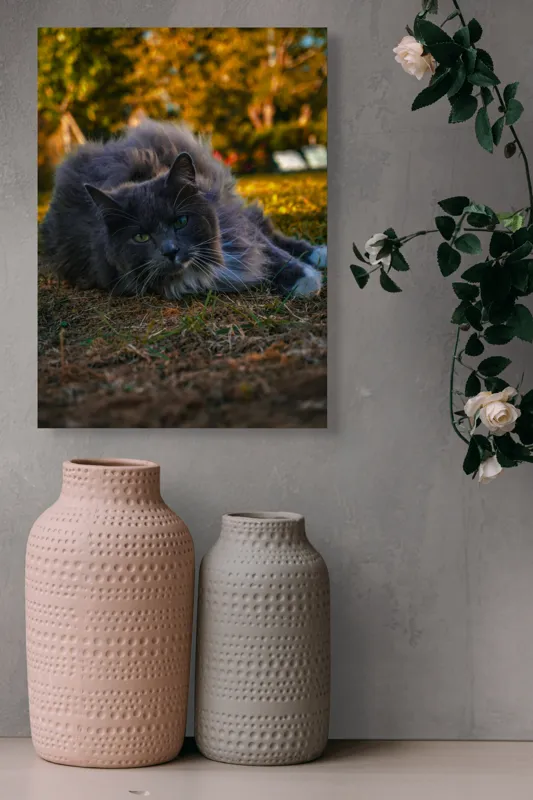 Tablou Canvas, "Pisica odihnindu-se în amurgul toamnei", Blană, Gri, Ochi, Verzi, Natură, Relaxare, Felină, Pădure, Toamnă, Lumină., 39 x 54 cm – poza 6