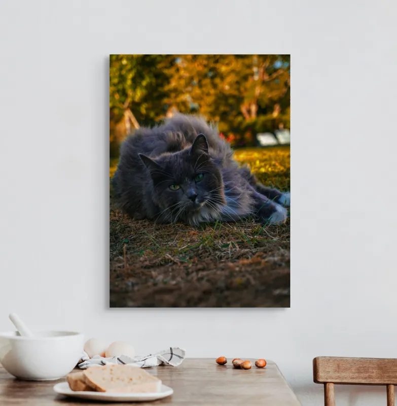 Tablou Canvas, "Pisica odihnindu-se în amurgul toamnei", Blană, Gri, Ochi, Verzi, Natură, Relaxare, Felină, Pădure, Toamnă, Lumină., 50 x 70 cm – poza 3