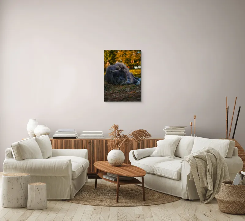 Tablou Canvas, "Pisica odihnindu-se în amurgul toamnei", Blană, Gri, Ochi, Verzi, Natură, Relaxare, Felină, Pădure, Toamnă, Lumină., 50 x 70 cm – poza 4