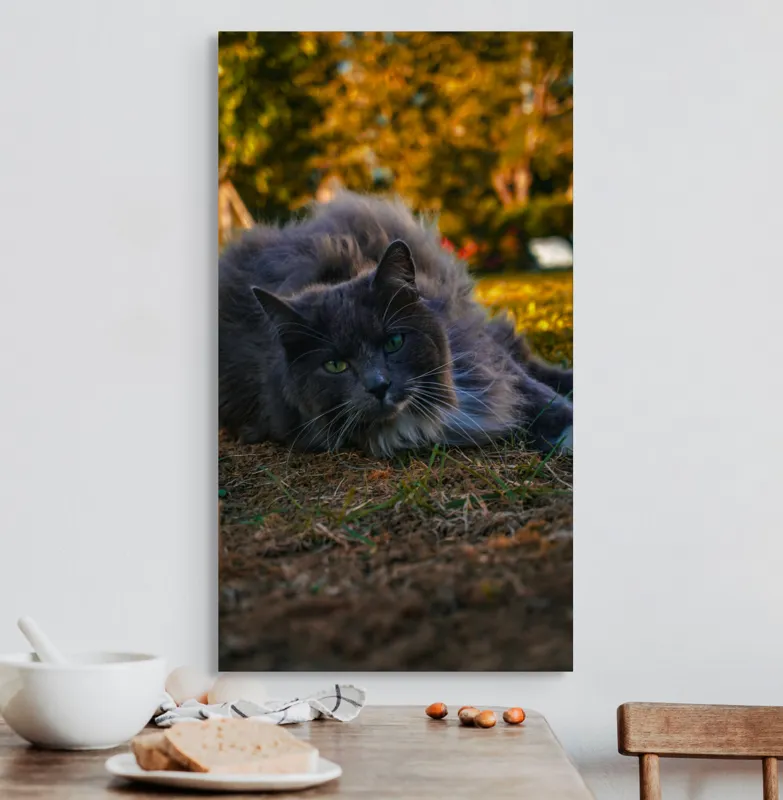 Tablou Canvas, "Pisica odihnindu-se în amurgul toamnei", Blană, Gri, Ochi, Verzi, Natură, Relaxare, Felină, Pădure, Toamnă, Lumină., 50 x 90 cm – poza 3