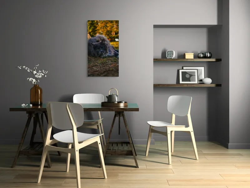 Tablou Canvas, "Pisica odihnindu-se în amurgul toamnei", Blană, Gri, Ochi, Verzi, Natură, Relaxare, Felină, Pădure, Toamnă, Lumină., 50 x 90 cm – poza 4