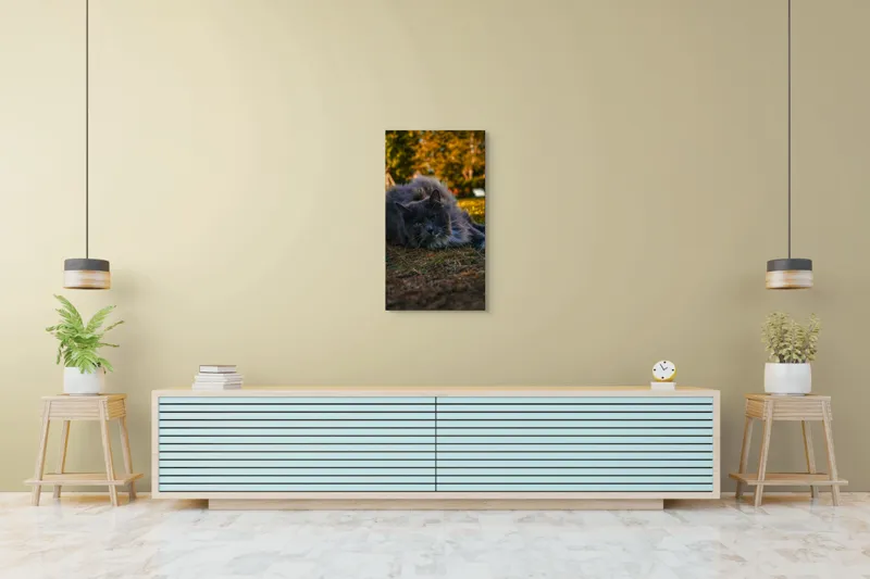 Tablou Canvas, "Pisica odihnindu-se în amurgul toamnei", Blană, Gri, Ochi, Verzi, Natură, Relaxare, Felină, Pădure, Toamnă, Lumină., 50 x 90 cm – poza 6