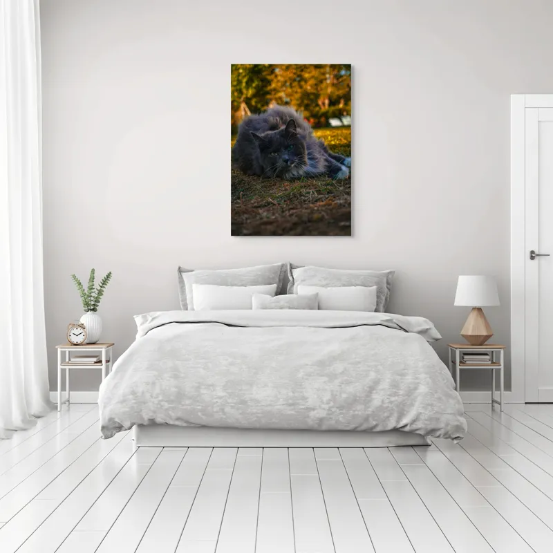 Tablou Canvas, "Pisica odihnindu-se în amurgul toamnei", Blană, Gri, Ochi, Verzi, Natură, Relaxare, Felină, Pădure, Toamnă, Lumină., 70 x 100 cm – poza 3