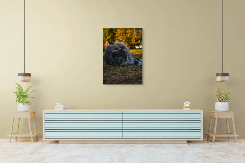 Tablou Canvas, "Pisica odihnindu-se în amurgul toamnei", Blană, Gri, Ochi, Verzi, Natură, Relaxare, Felină, Pădure, Toamnă, Lumină., 70 x 100 cm – poza 5