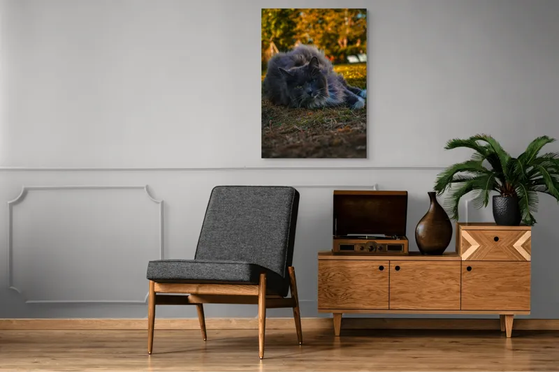 Tablou Canvas, "Pisica odihnindu-se în amurgul toamnei", Blană, Gri, Ochi, Verzi, Natură, Relaxare, Felină, Pădure, Toamnă, Lumină., 70 x 100 cm – poza 6