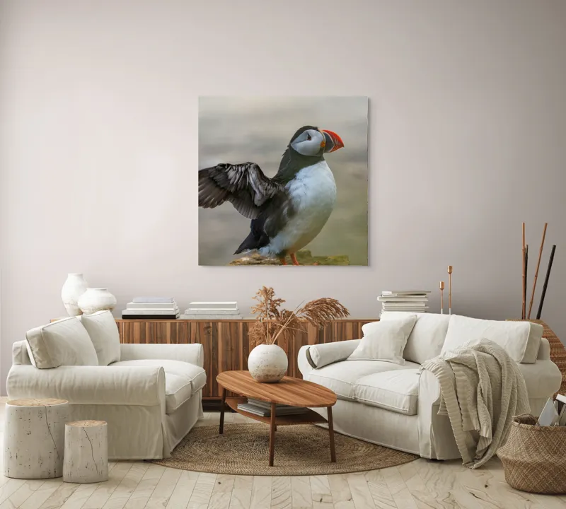 Tablou Canvas, "Puffin mândru pe stâncile mării", Puffin, Coast, Wings, Atlantic, Bird, Nature, Cliff, Ocean, Wildlife, 100 x 100 cm – poza 3