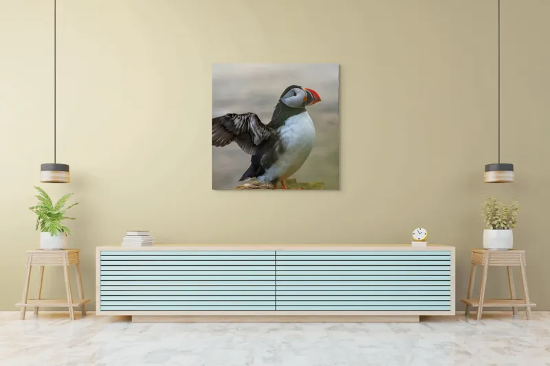 Tablou Canvas, "Puffin mândru pe stâncile mării", Puffin, Coast, Wings, Atlantic, Bird, Nature, Cliff, Ocean, Wildlife, 100 x 100 cm – poza 5
