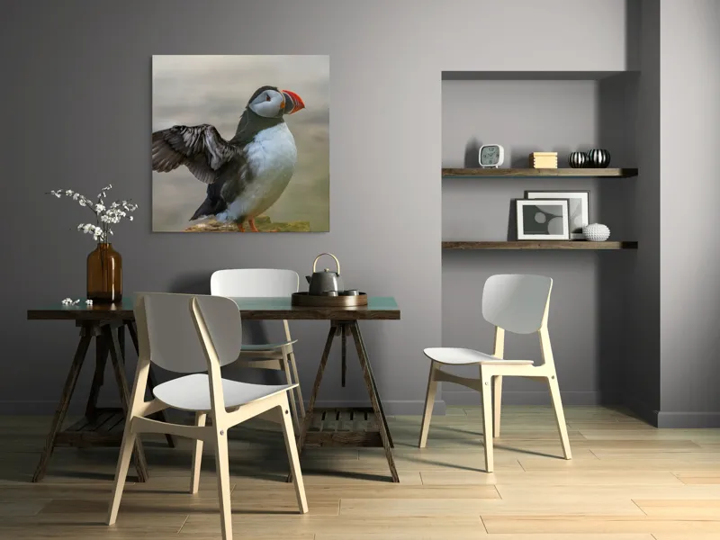 Tablou Canvas, "Puffin mândru pe stâncile mării", Puffin, Coast, Wings, Atlantic, Bird, Nature, Cliff, Ocean, Wildlife, 100 x 100 cm – poza 6
