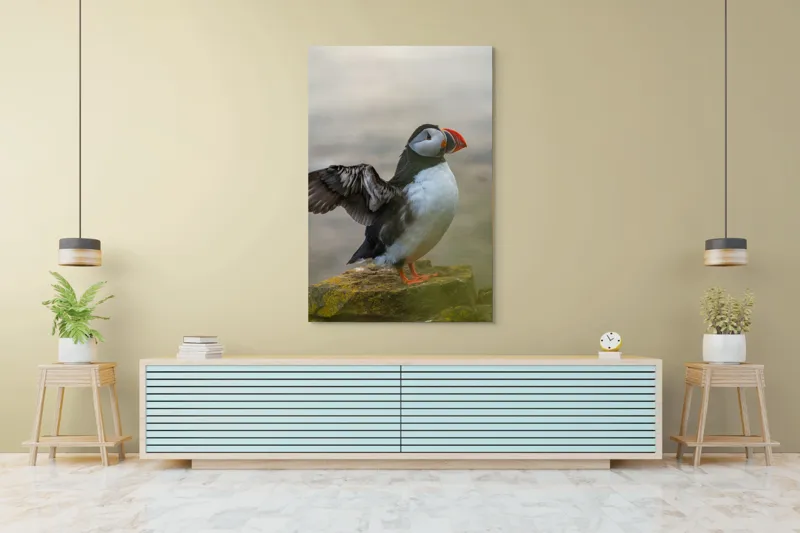 Tablou Canvas, "Puffin mândru pe stâncile mării", Puffin, Coast, Wings, Atlantic, Bird, Nature, Cliff, Ocean, Wildlife, 100 x 150 cm – poza 4