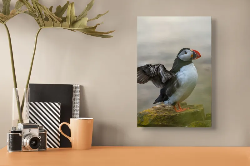 Tablou Canvas, "Puffin mândru pe stâncile mării", Puffin, Coast, Wings, Atlantic, Bird, Nature, Cliff, Ocean, Wildlife, 26 x 39 cm – poza 3