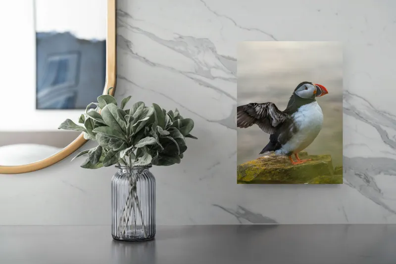 Tablou Canvas, "Puffin mândru pe stâncile mării", Puffin, Coast, Wings, Atlantic, Bird, Nature, Cliff, Ocean, Wildlife, 26 x 39 cm – poza 4