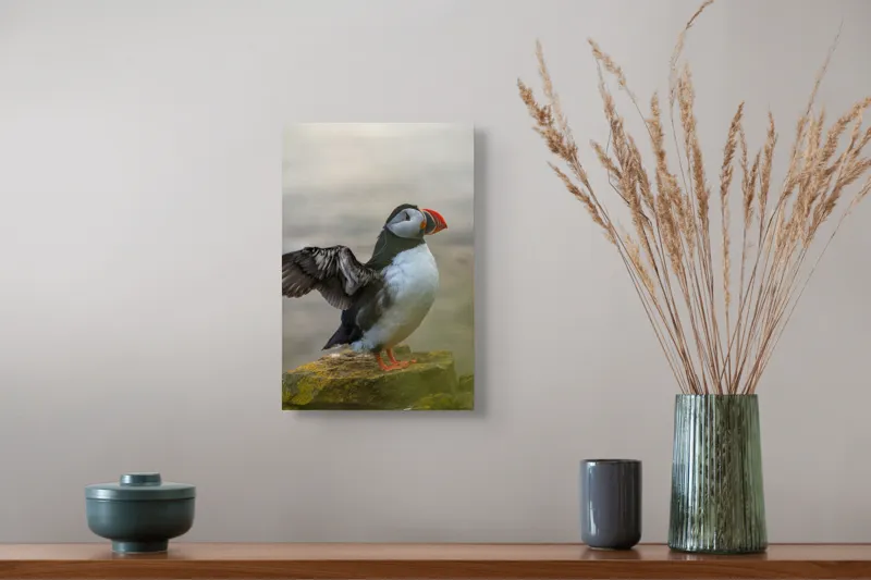 Tablou Canvas, "Puffin mândru pe stâncile mării", Puffin, Coast, Wings, Atlantic, Bird, Nature, Cliff, Ocean, Wildlife, 26 x 39 cm – poza 5