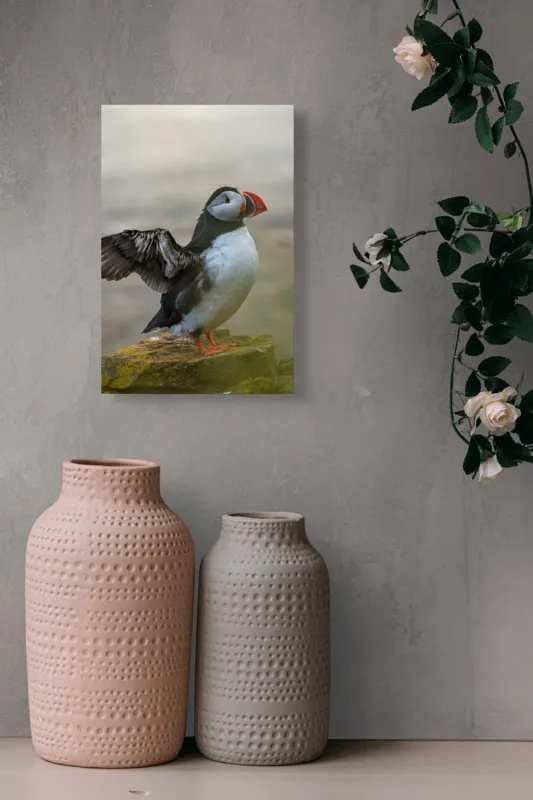 Tablou Canvas, "Puffin mândru pe stâncile mării", Puffin, Coast, Wings, Atlantic, Bird, Nature, Cliff, Ocean, Wildlife, 26 x 39 cm – poza 6