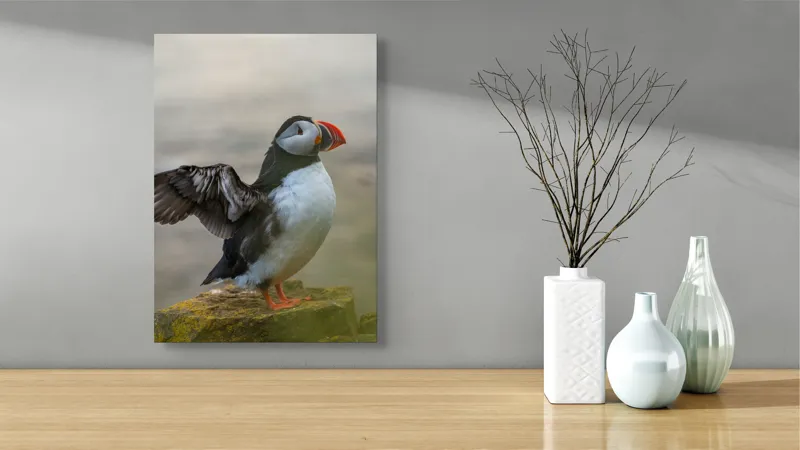 Tablou Canvas, "Puffin mândru pe stâncile mării", Puffin, Coast, Wings, Atlantic, Bird, Nature, Cliff, Ocean, Wildlife, 39 x 54 cm – poza 4
