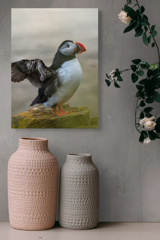 Tablou Canvas, "Puffin mândru pe stâncile mării", Puffin, Coast, Wings, Atlantic, Bird, Nature, Cliff, Ocean, Wildlife, 39 x 54 cm – poza 6