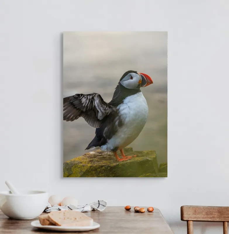 Tablou Canvas, "Puffin mândru pe stâncile mării", Puffin, Coast, Wings, Atlantic, Bird, Nature, Cliff, Ocean, Wildlife, 50 x 70 cm – poza 3