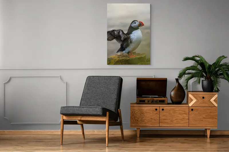 Tablou Canvas, "Puffin mândru pe stâncile mării", Puffin, Coast, Wings, Atlantic, Bird, Nature, Cliff, Ocean, Wildlife, 70 x 100 cm – poza 6