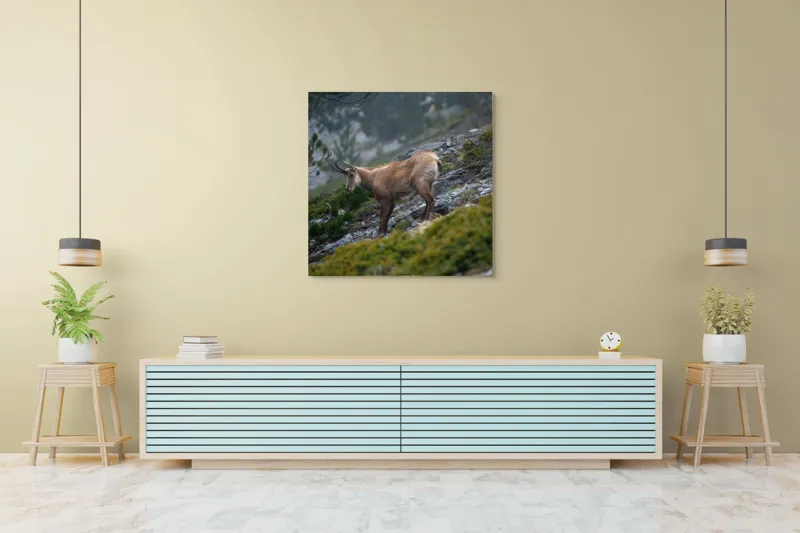 Tablou Canvas, "Capră neagră pe munte în ceață", Capră, Munți, Verdeață, Rocă, Natură, 100 x 100 cm – poza 5